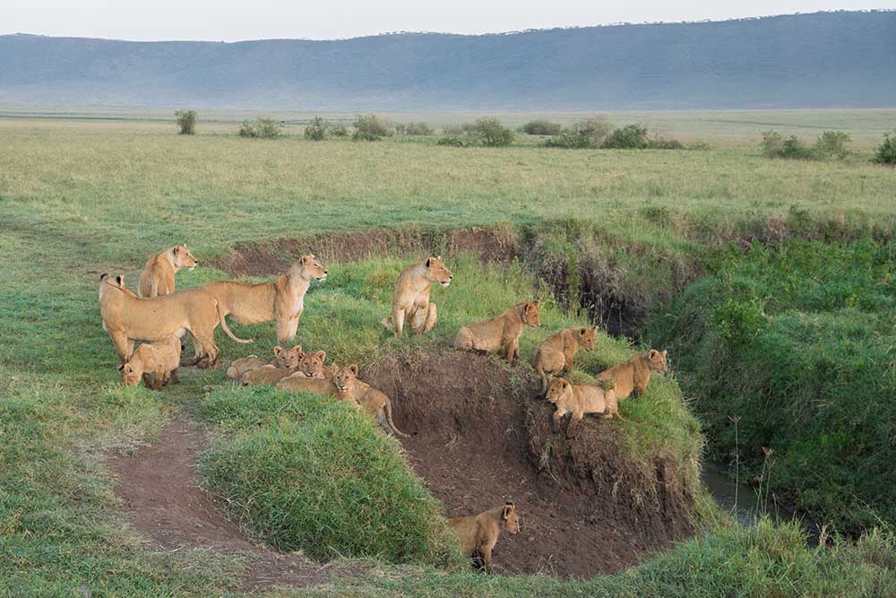 Ngorongoro 2a