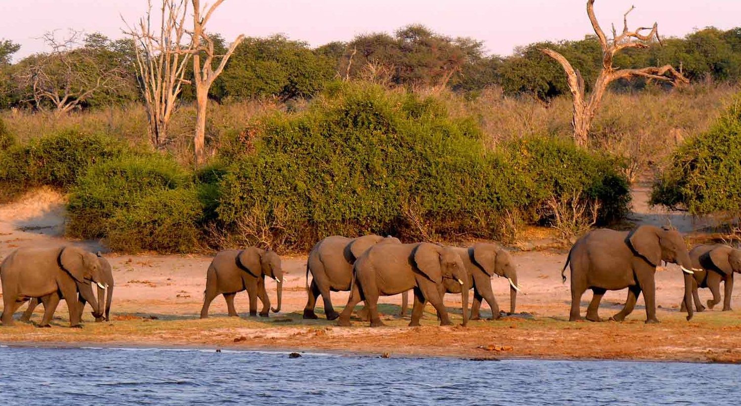 manyara lake