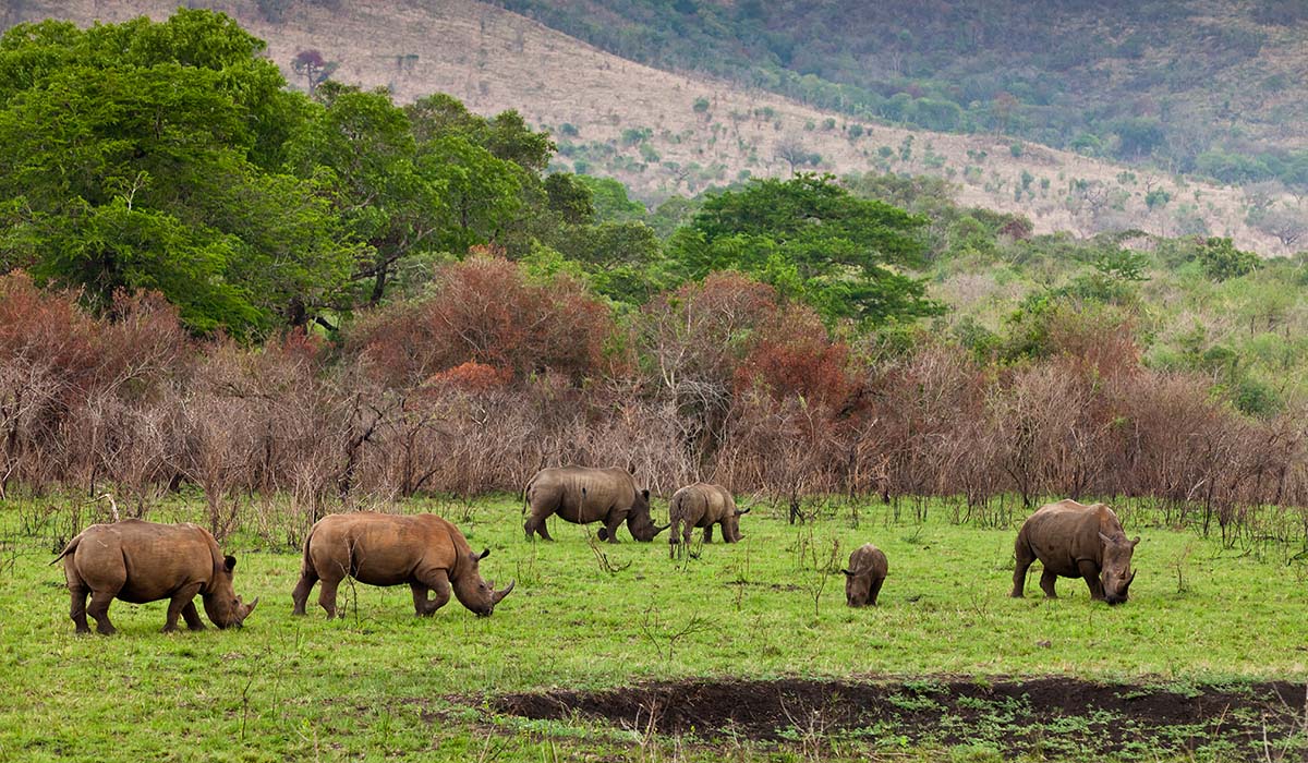 ngorongoro6